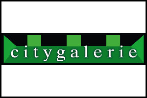 Citygalerie Linz zeitgenössische Kunst Johannes Rangl